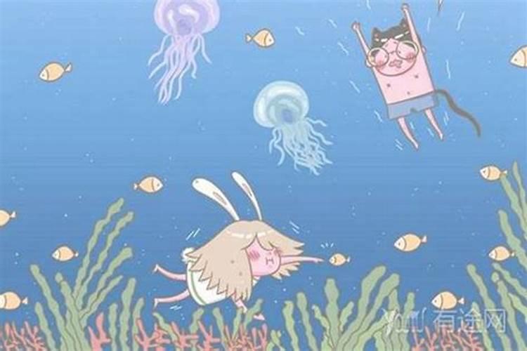 多肉浇什么水好,长得更旺盛