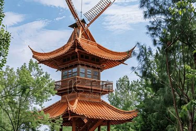 沈阳市剪股颖草坪多少钱一平方