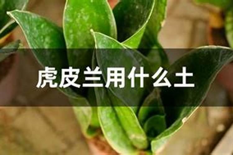 硝酸钾是什么肥