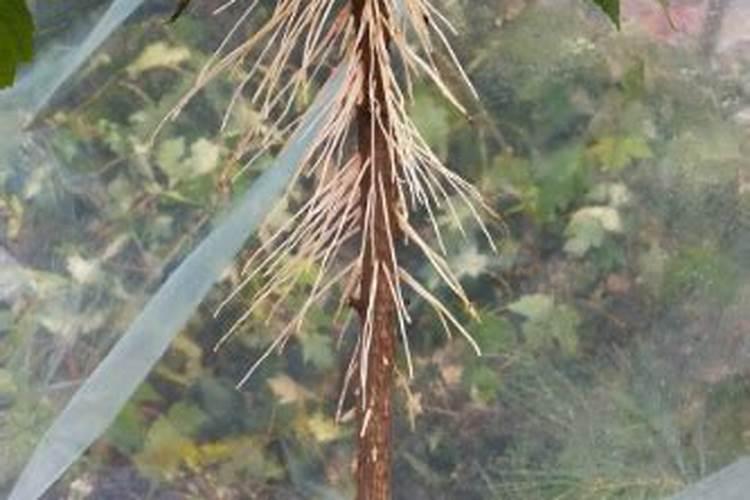 化肥厂会导致土地污染吗