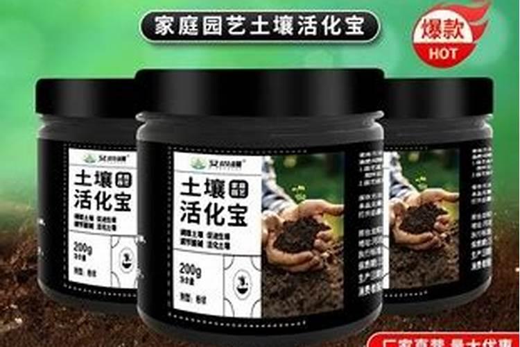 桂花树开花后如何养护盆土疏松开花多