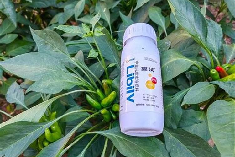 氯化钾拌土撒施的正确方法与注意事项