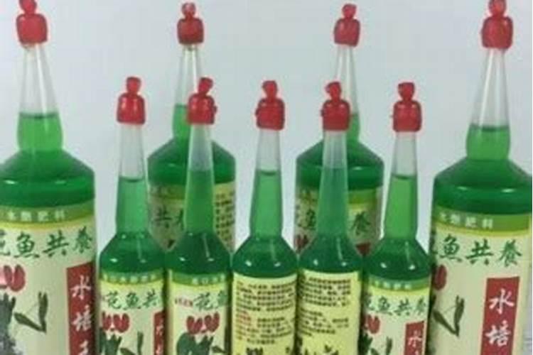 茶花用什么肥料好