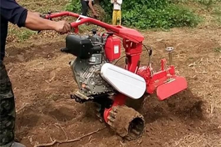花生种植的施肥方法