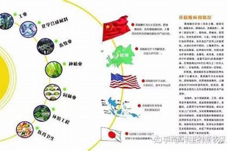 腐殖质包括哪三组
