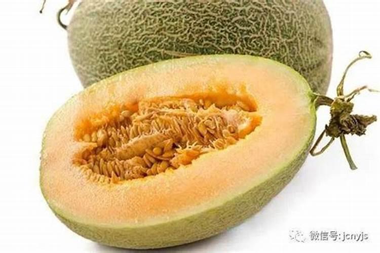 兰花几月份施磷酸二氢钾最佳 兰花几月施磷酸二氢钾最佳