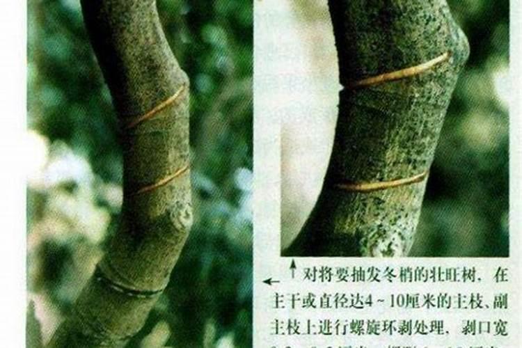 鱼蛋白肥料能与杀菌剂合用吗？