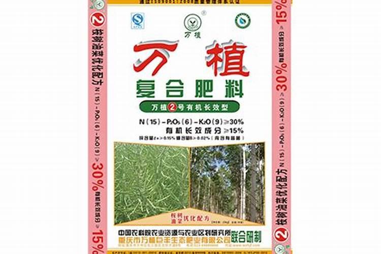 桉树苗的养护方法