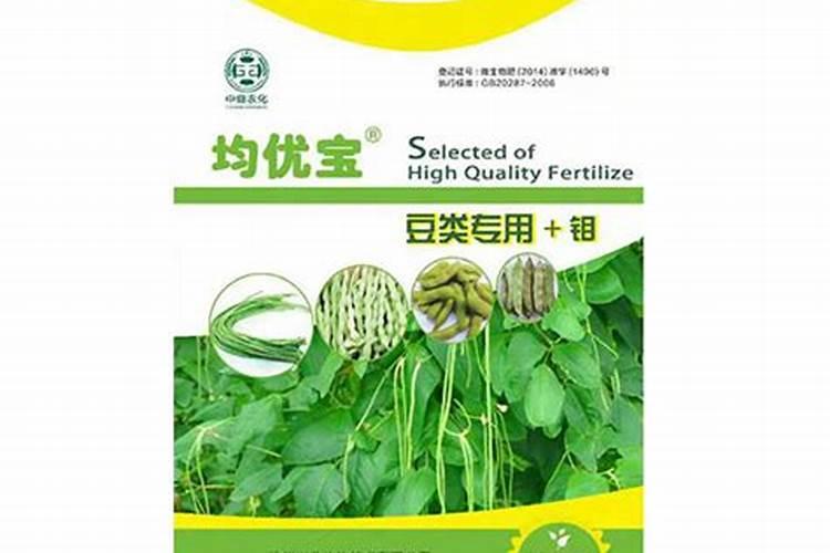 怎样种豆角高产