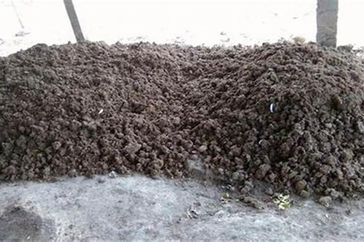 茄子怎么施肥浇水