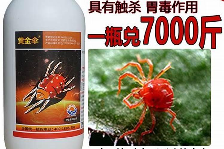 果树病虫害全年防治