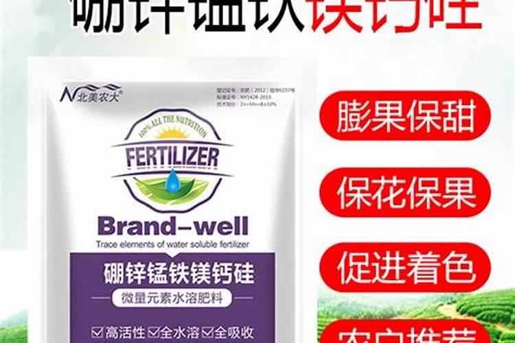杨梅树施什么肥最好？