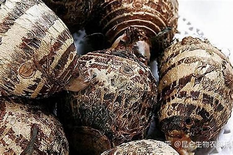 种芋头用什么肥料最好