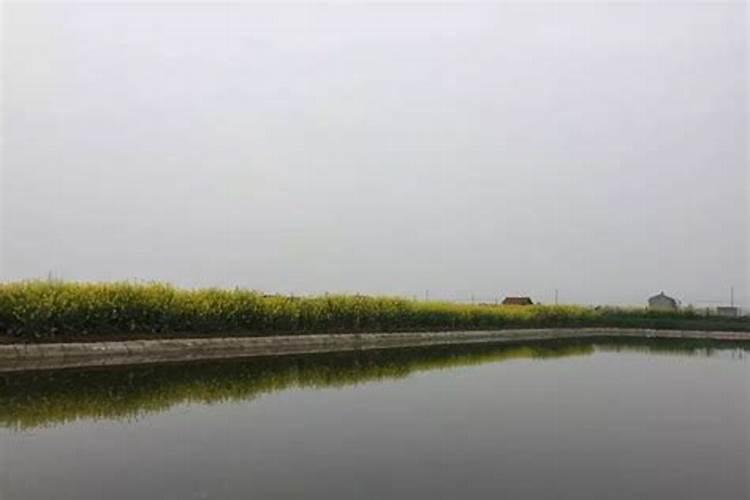 水产养殖如何肥水