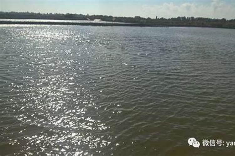 冬季蔬菜施肥,需要注意什么