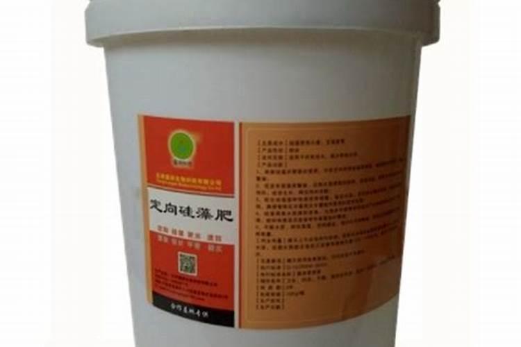 请问养虾要怎么养才会长得又肥又快？