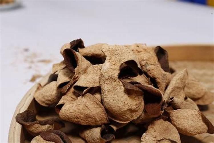 橙子树下放什么使橙子更好吃？