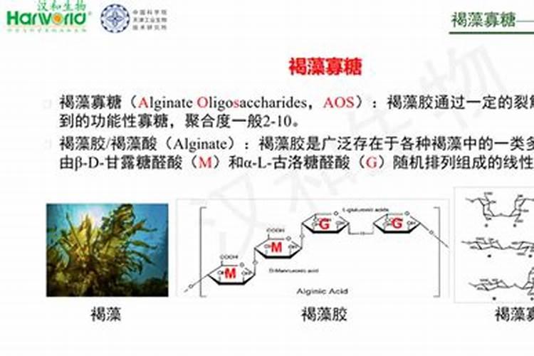 什么是海藻肥