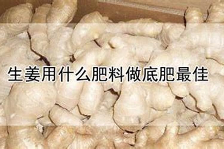 生姜用什么肥料做底肥最佳