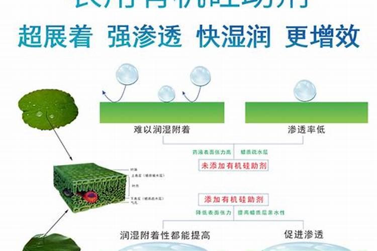 有机硅在农业的作用和用途是什么
