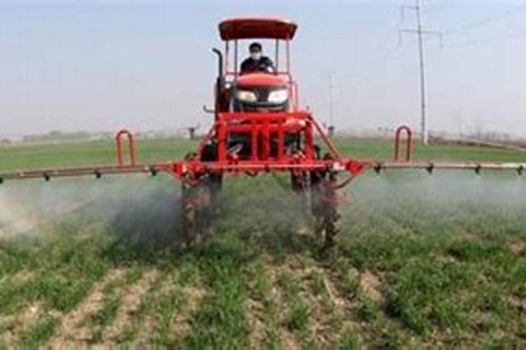 多肉为什么控养