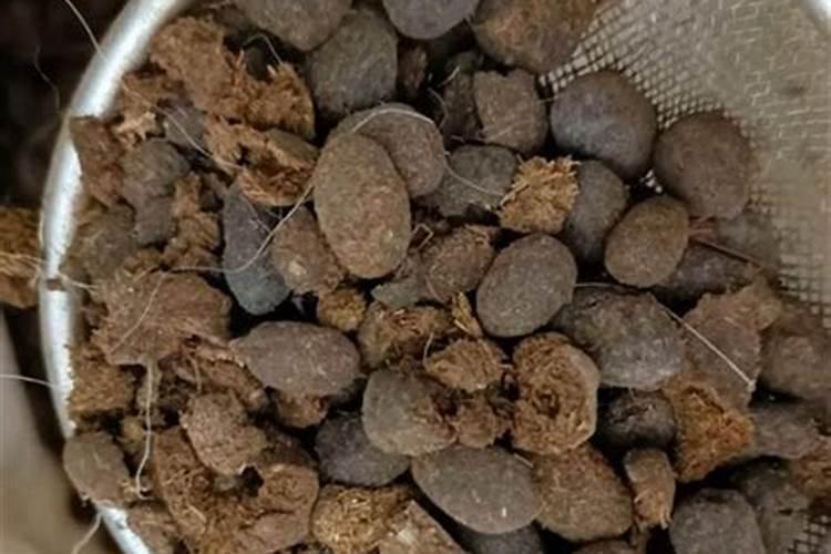 水溶肥和普通化肥有什么区别？