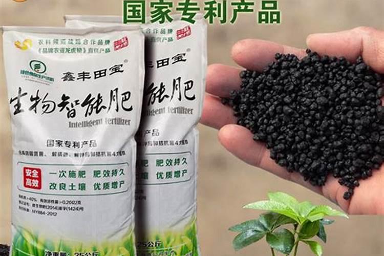 菌肥可以养花吗