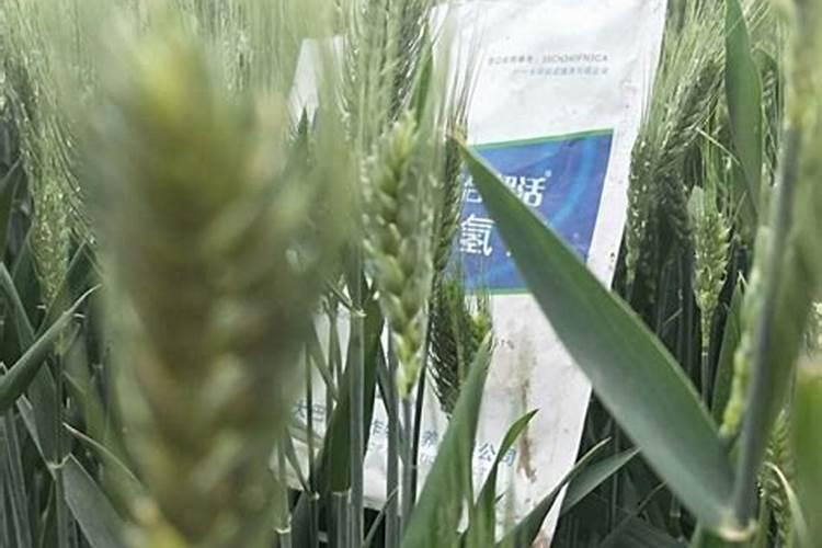 植物营养液怎么配置 植物营养液如何配置