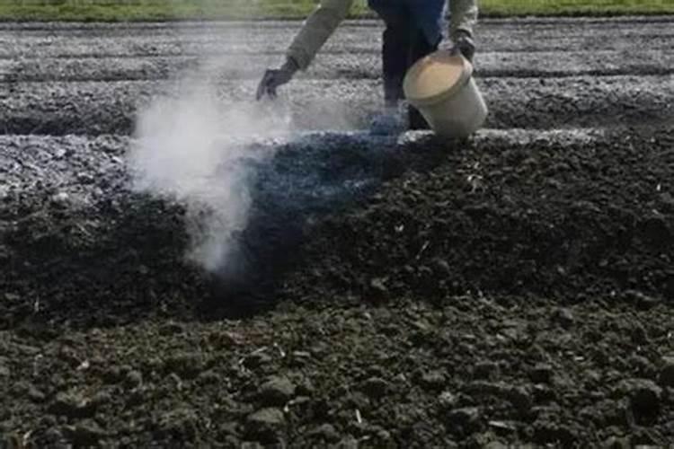 白醋可以改变花盆碱性土壤吗