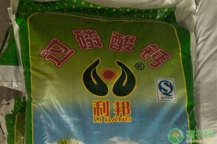 种香菇用什么土比较好