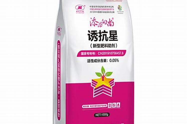 温室大棚种植黄瓜应该如何施肥