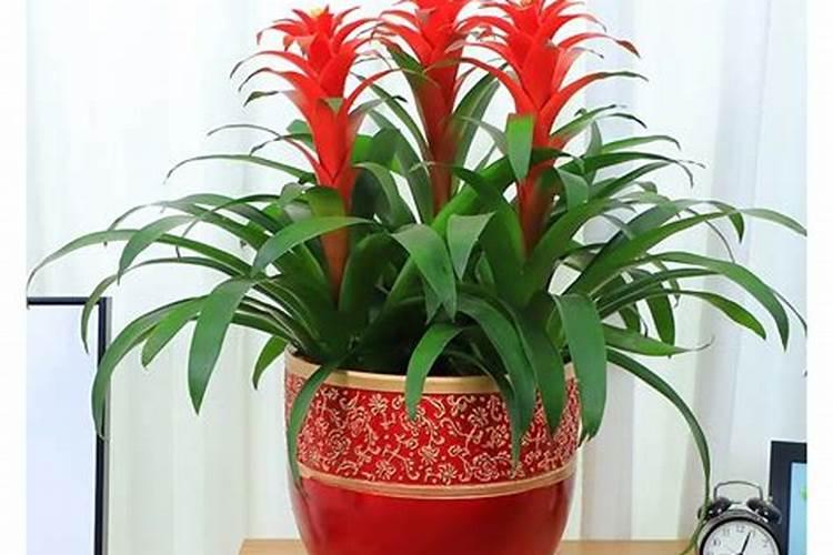 氮肥是什么做的