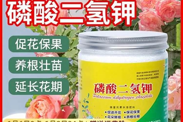 水溶肥排名前十位的有哪些品牌