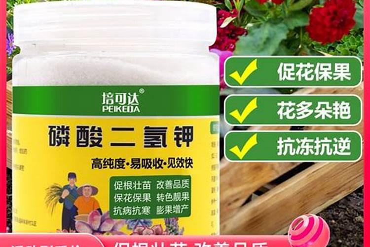 如何正确使用水溶性肥料