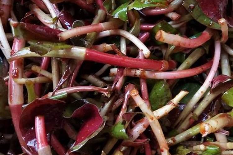 氮肥养花使用方法有什么？