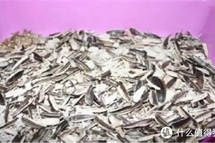 钾肥对植物的作用是什么