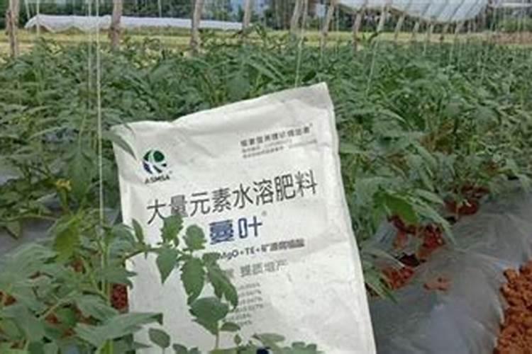 大量元水溶肥和中量元素、微量元素水溶肥的区别？
