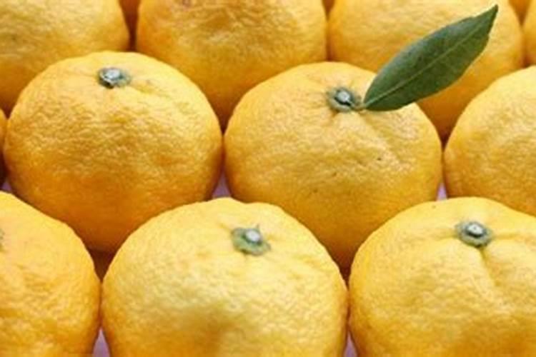 柚子树不结果有什么原因？