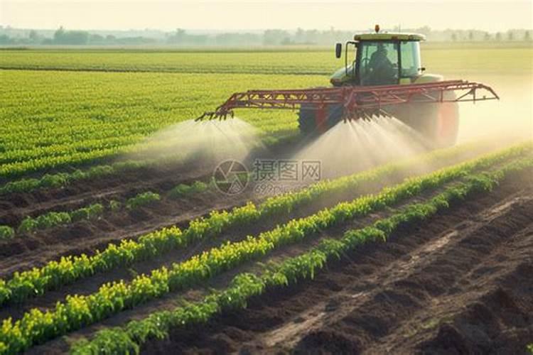 花生用除草剂对下茬作物有何影响