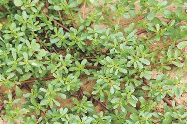 电厂原水循环水监督指标有哪些要求