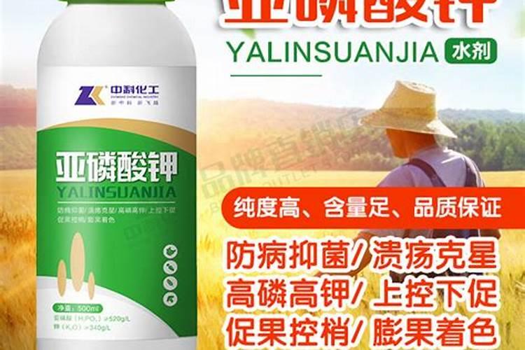 家庭种植蔬菜,只用有机肥不用化肥能否长好？许多人不知道!