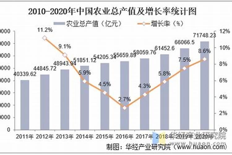 想提高四季豆产量需要注意哪些施肥技巧