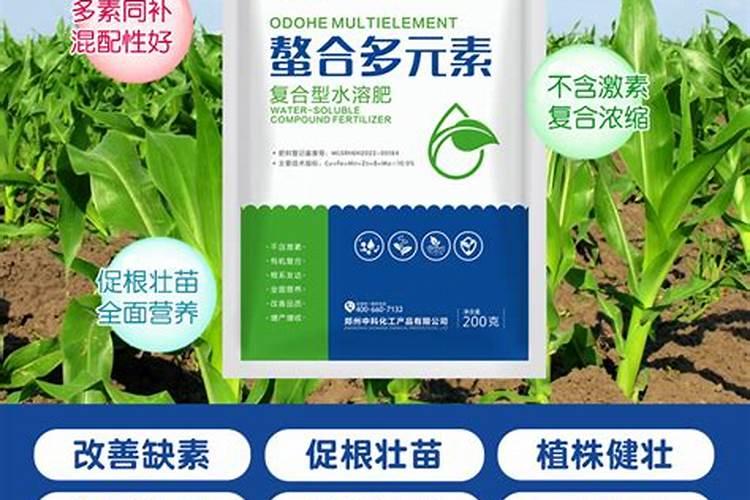 油桃树怎样修剪