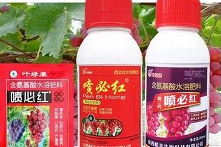 用集合图表示组成细胞的元素中,大量元素,微量元素,主要元素,基本元素...