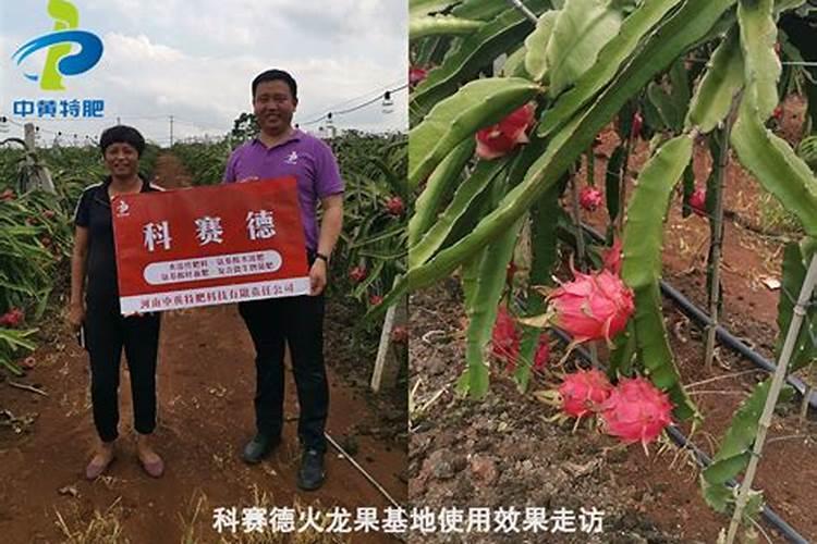 柑橘每亩施多少黄腐酸？