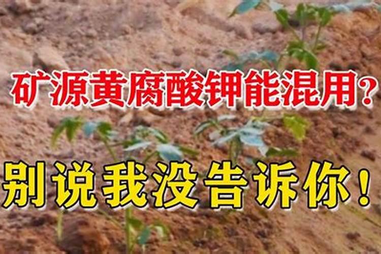 磷酸二氢钾是什么肥料起什么作用(磷酸二氢钾俗称什么肥料)