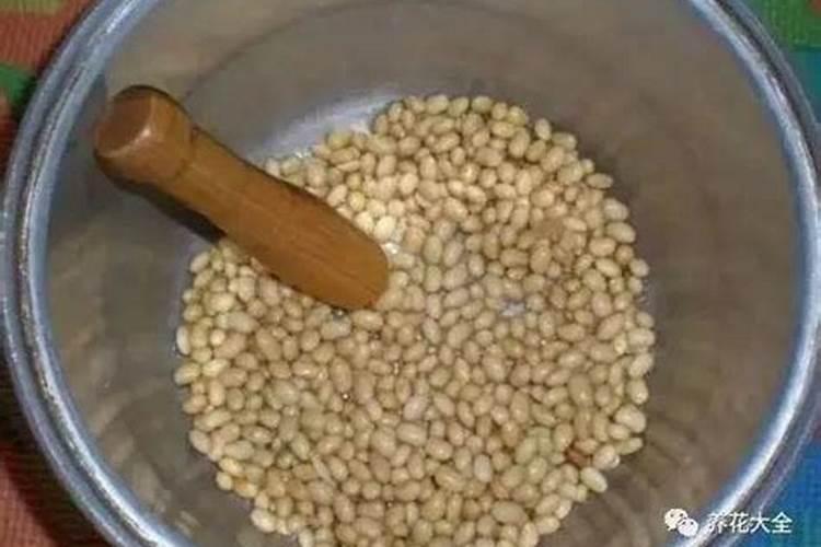 氨基酸水溶肥使用禁忌