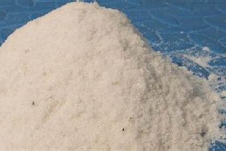 给长寿花促花用什么催花肥