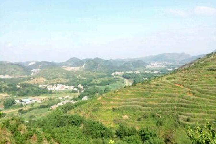 冲施肥多久下雨没效果