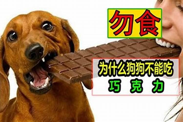 西葫芦畸形瓜防治方法是什么
